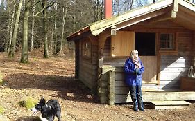 Bokebacken Skogshotell